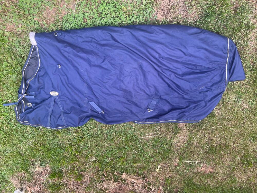 Sussex Big “D” Size 84 Mediumweight Horse Winter Blanket
